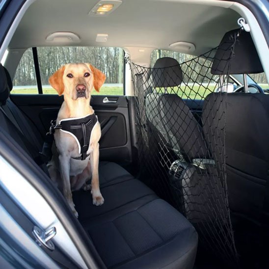 Filet pour chien voiture