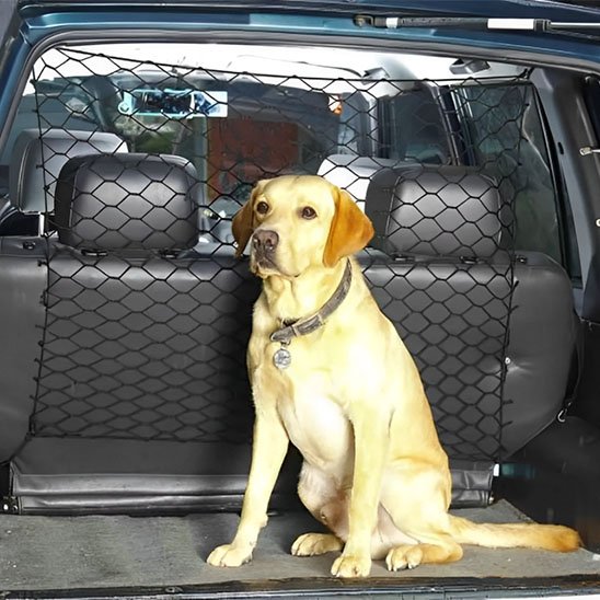 Filet pour chien voiture