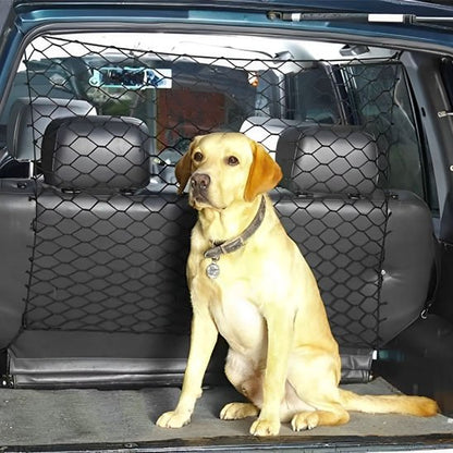 Filet pour chien voiture