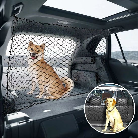 Filet pour chien voiture