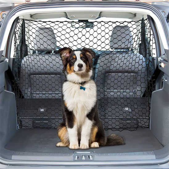 Filet pour chien voiture