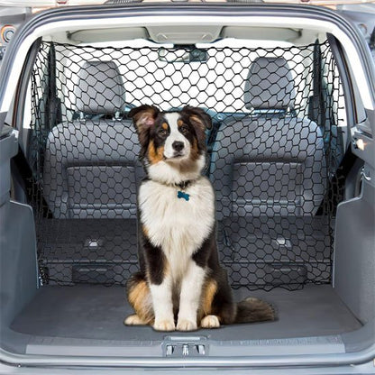 Filet pour chien voiture