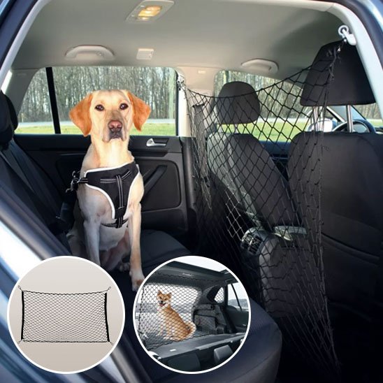 Filet pour chien voiture