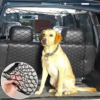 Filet pour chien voiture