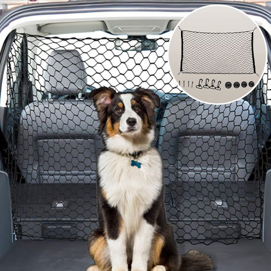 Filet pour chien voiture
