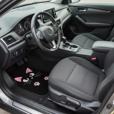 Tapis de voiture 